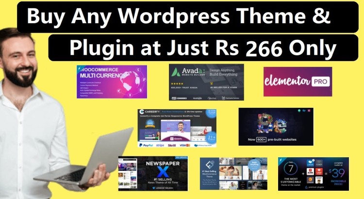 All Pro Theme & Plugin Selling